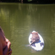 Image for article titled Hipcamp Wants To Be Airbnb For Camping